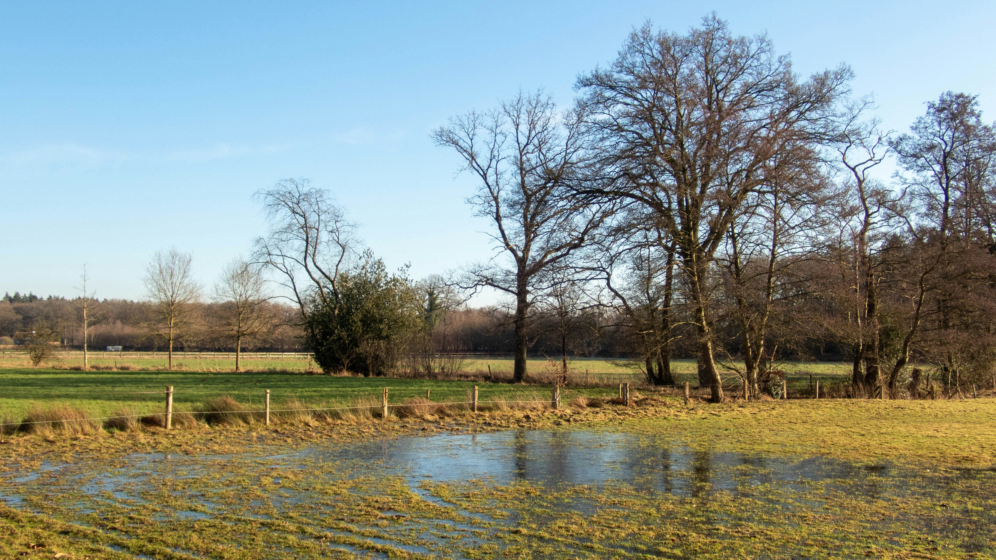 Photo by wimvanteinde