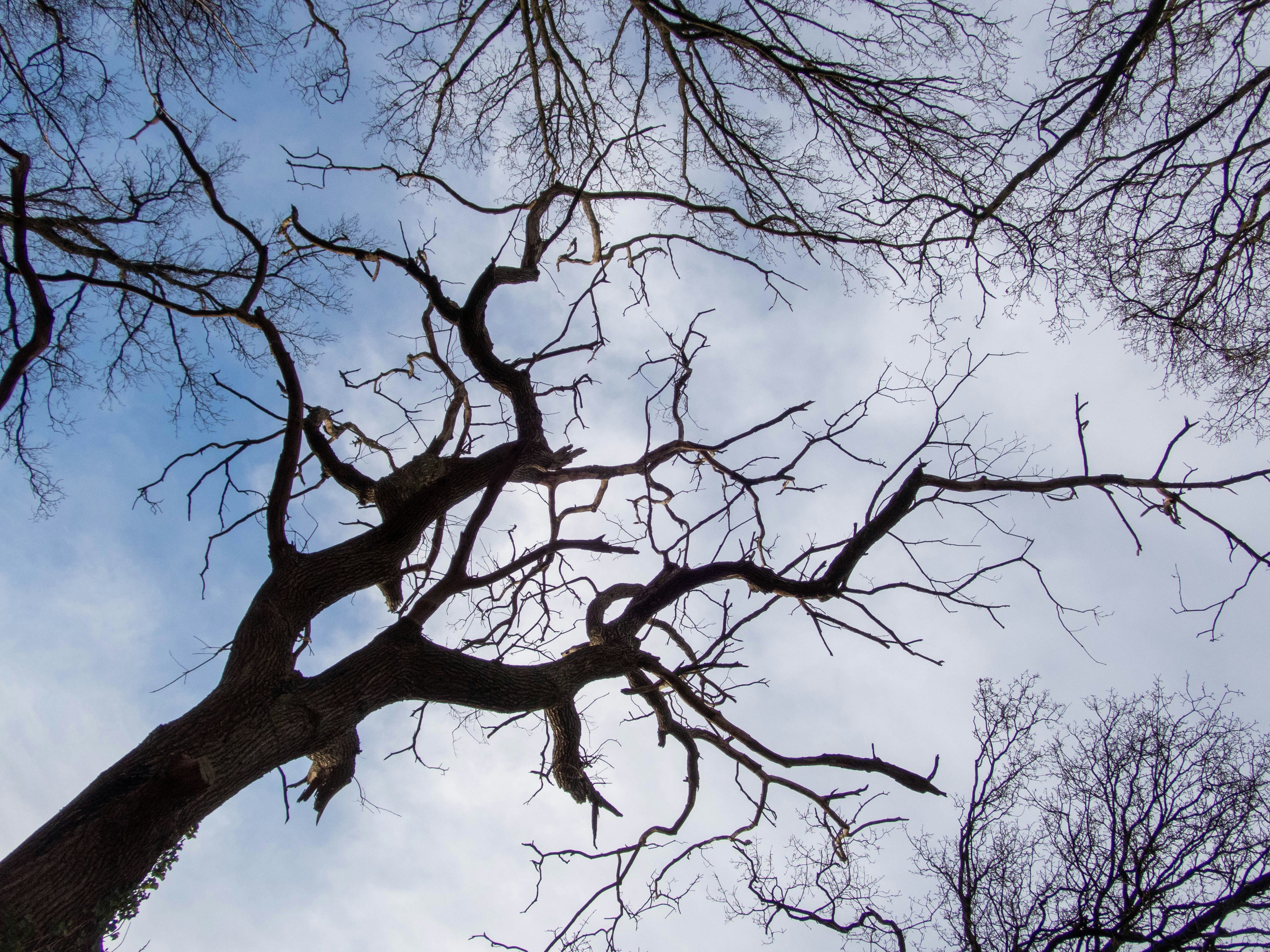 Photo by wimvanteinde