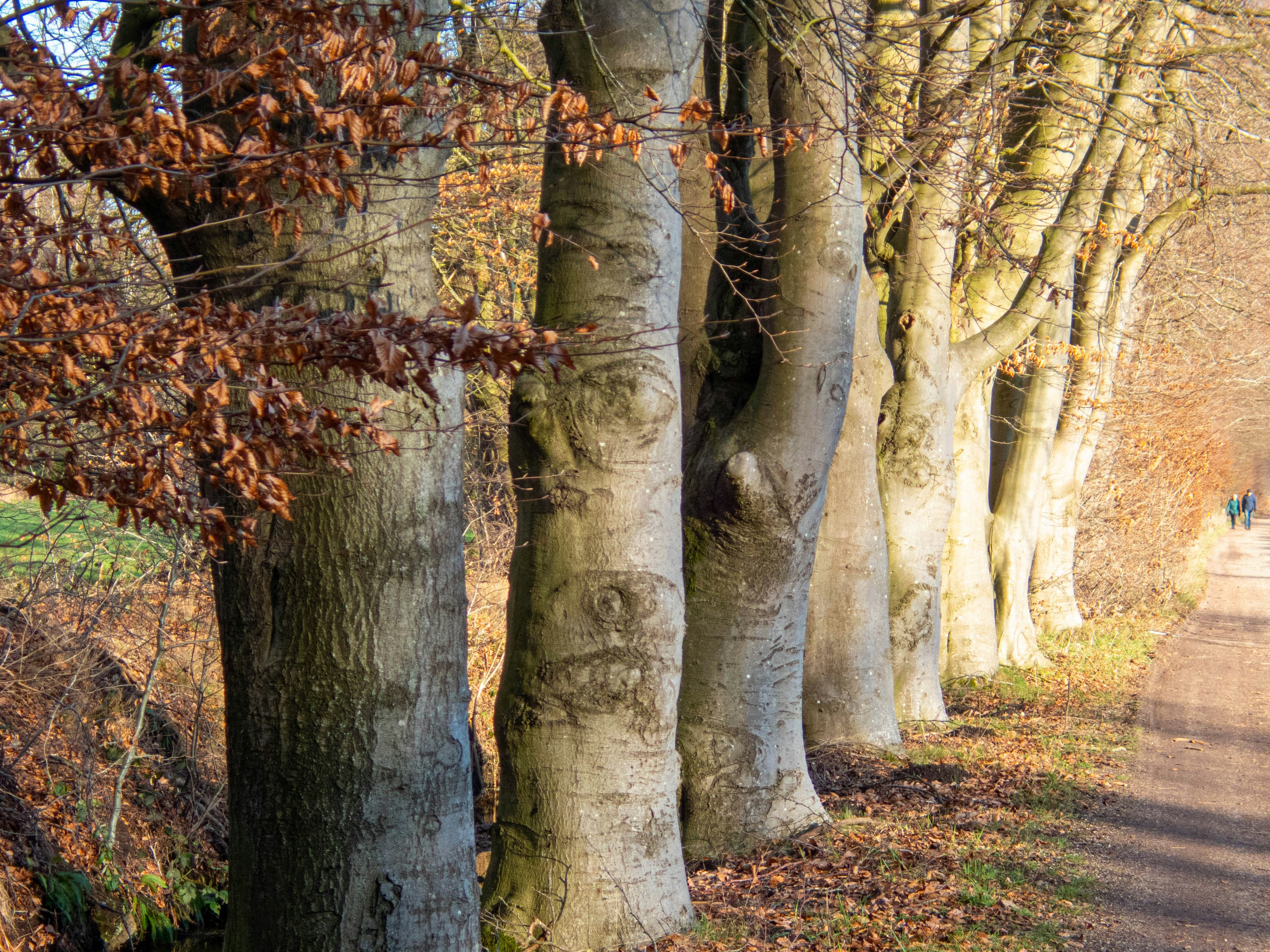 Photo by wimvanteinde