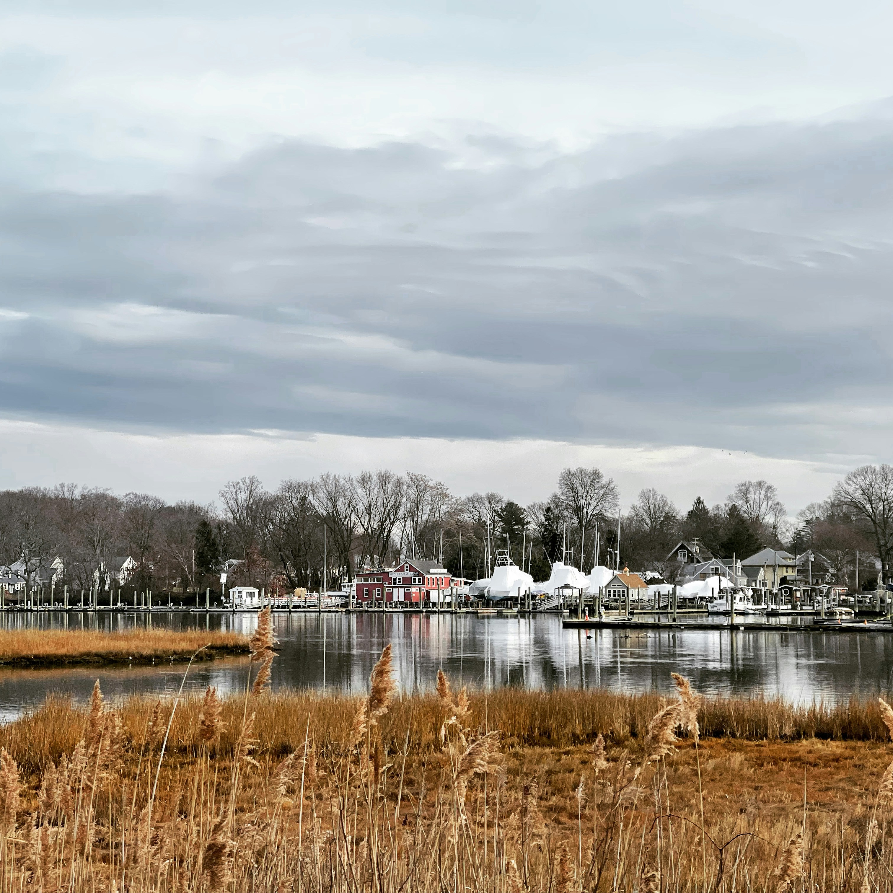 a body of water surrounded by tall grass