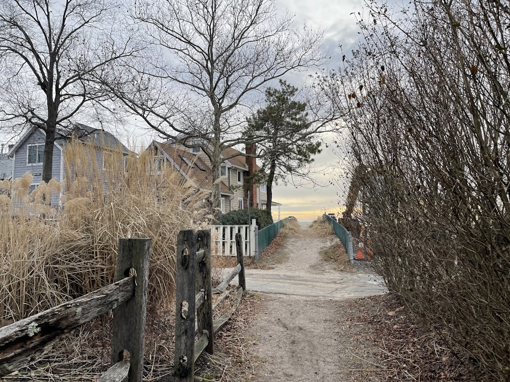 a dirt path leading to a row of houses