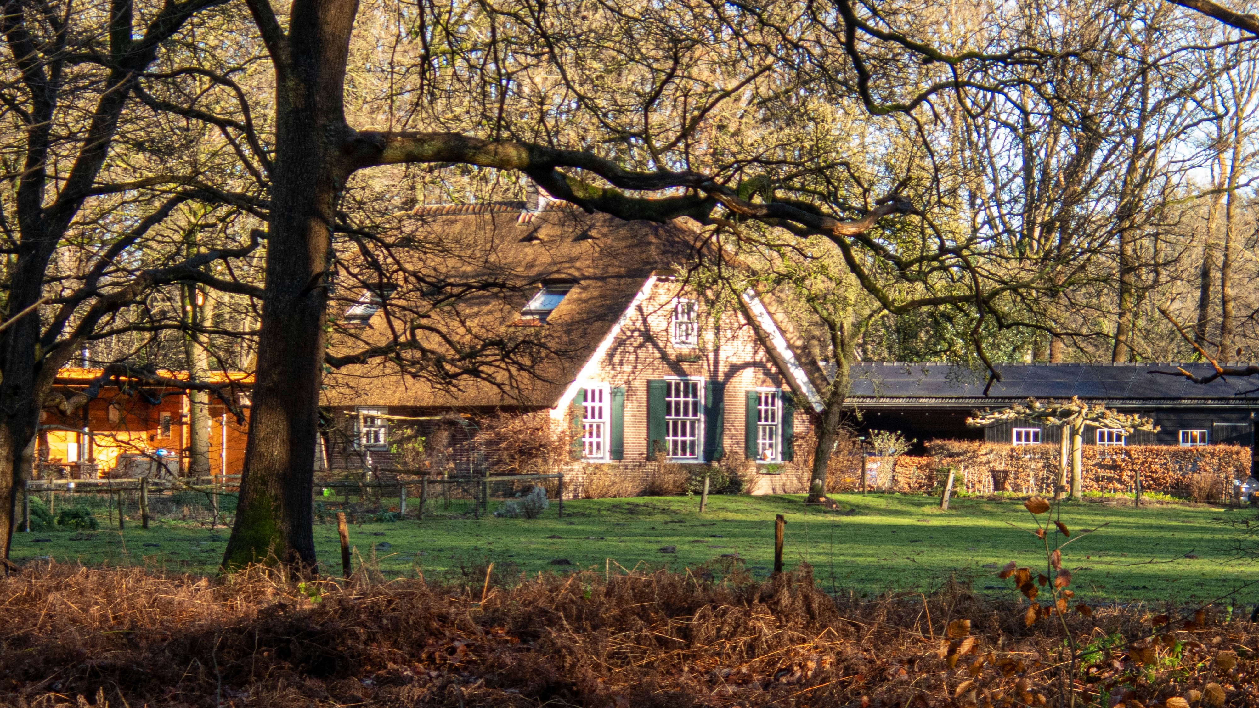 Photo by wimvanteinde