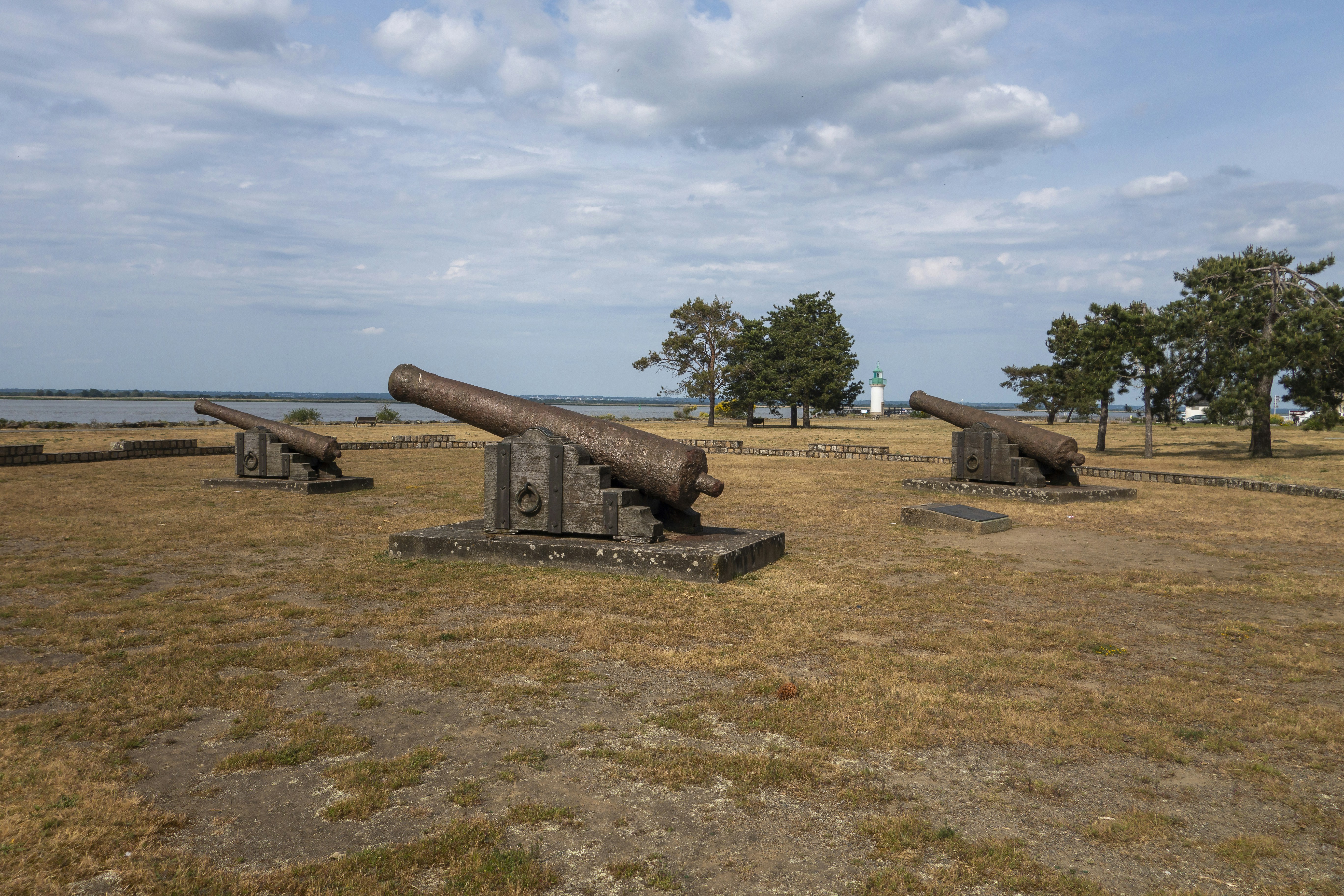 un campo con due vecchi cannoni nel mezzo