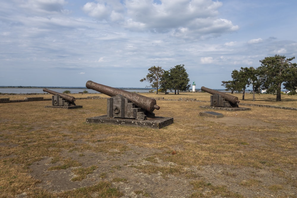 a field with two old cannon's in the middle of it