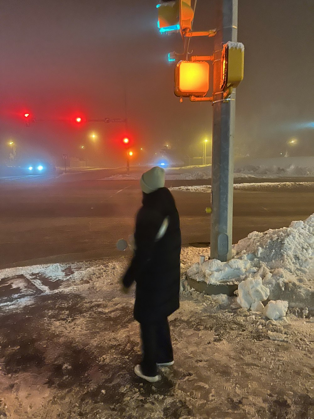 a person standing in the snow near a traffic light