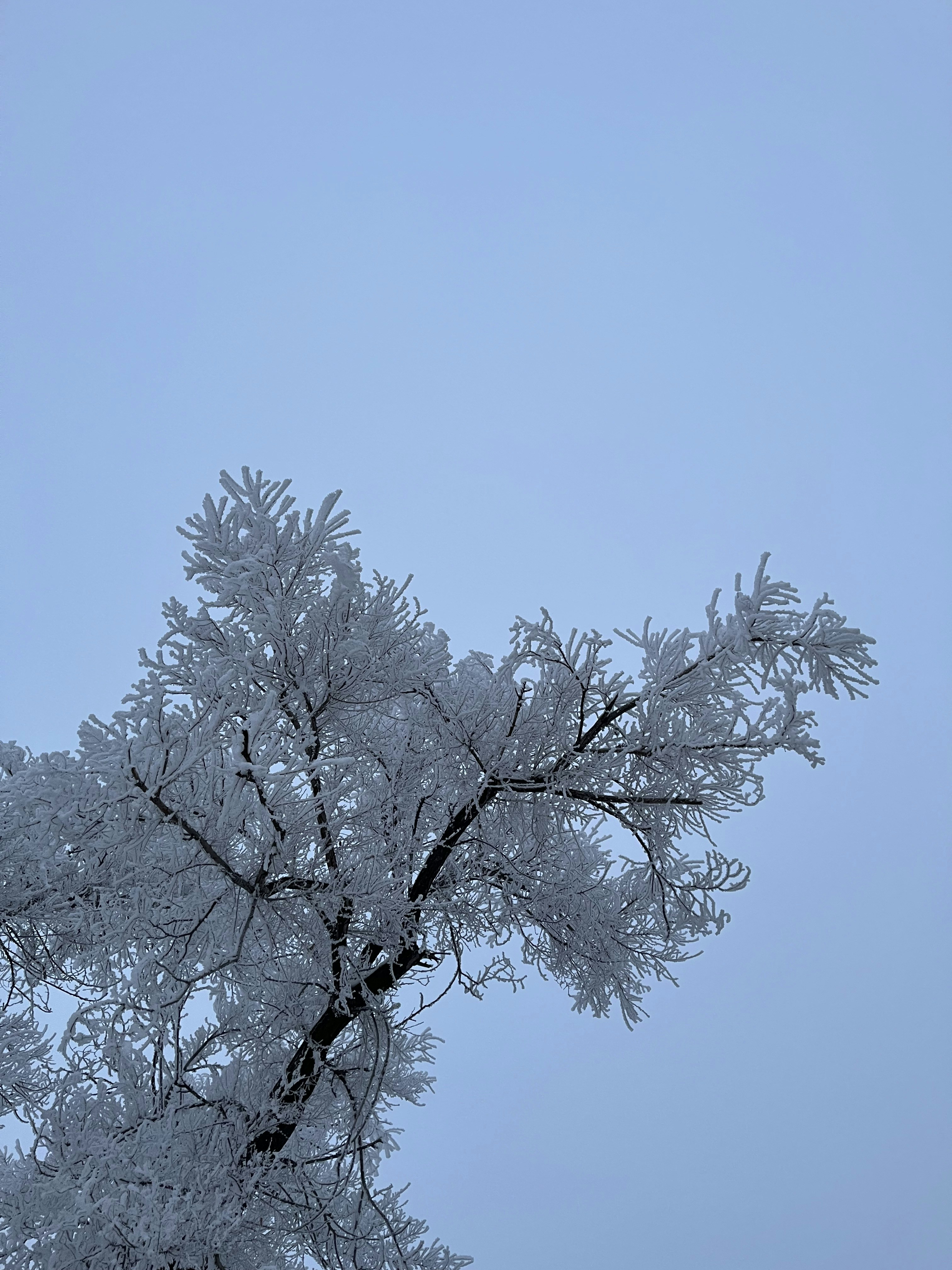 Photo by yanochka_areshkina