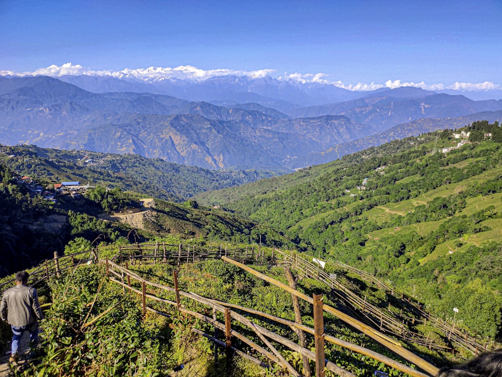 a man standing on top of a lush green hillside