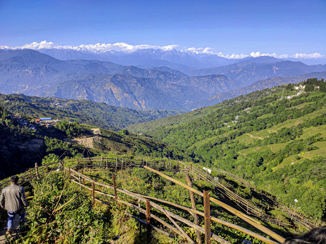 Darjeeling Family Itinerary: 3 Days of Relaxed Travel