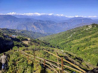 a man standing on top of a lush green hillside