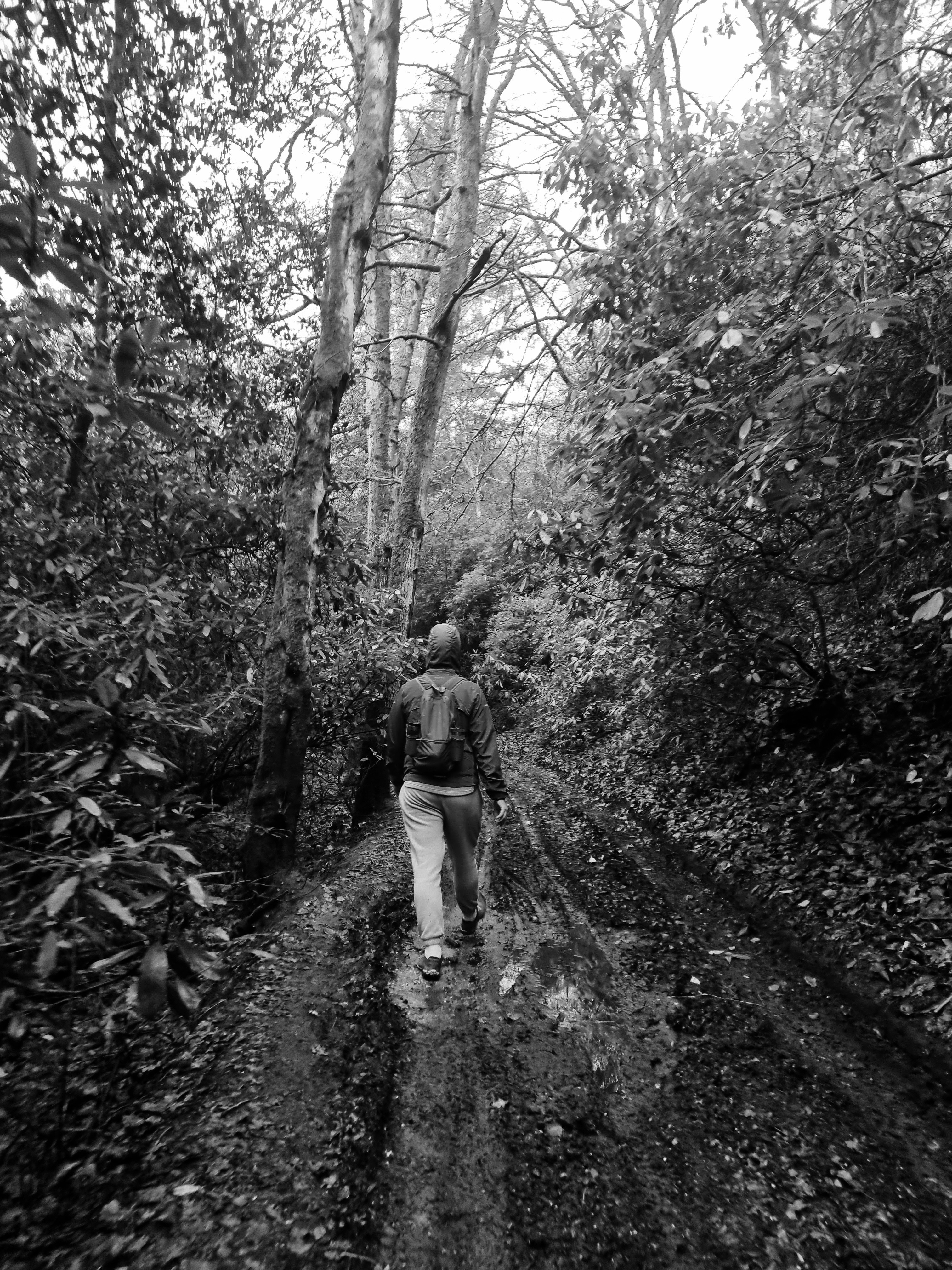 Photo by wotsoninspirations