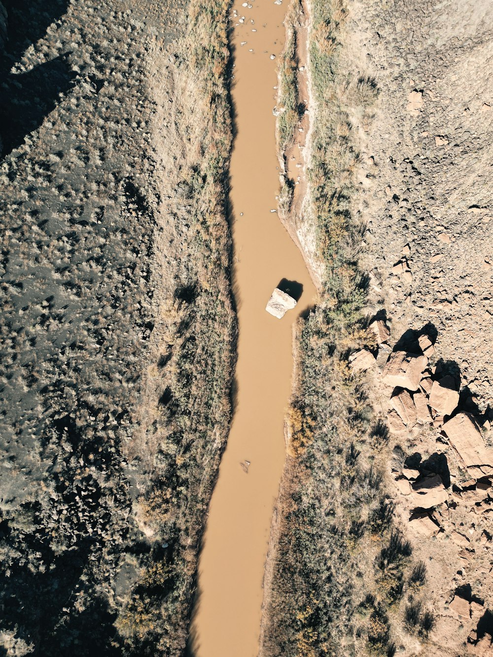 an aerial view of a river in the desert
