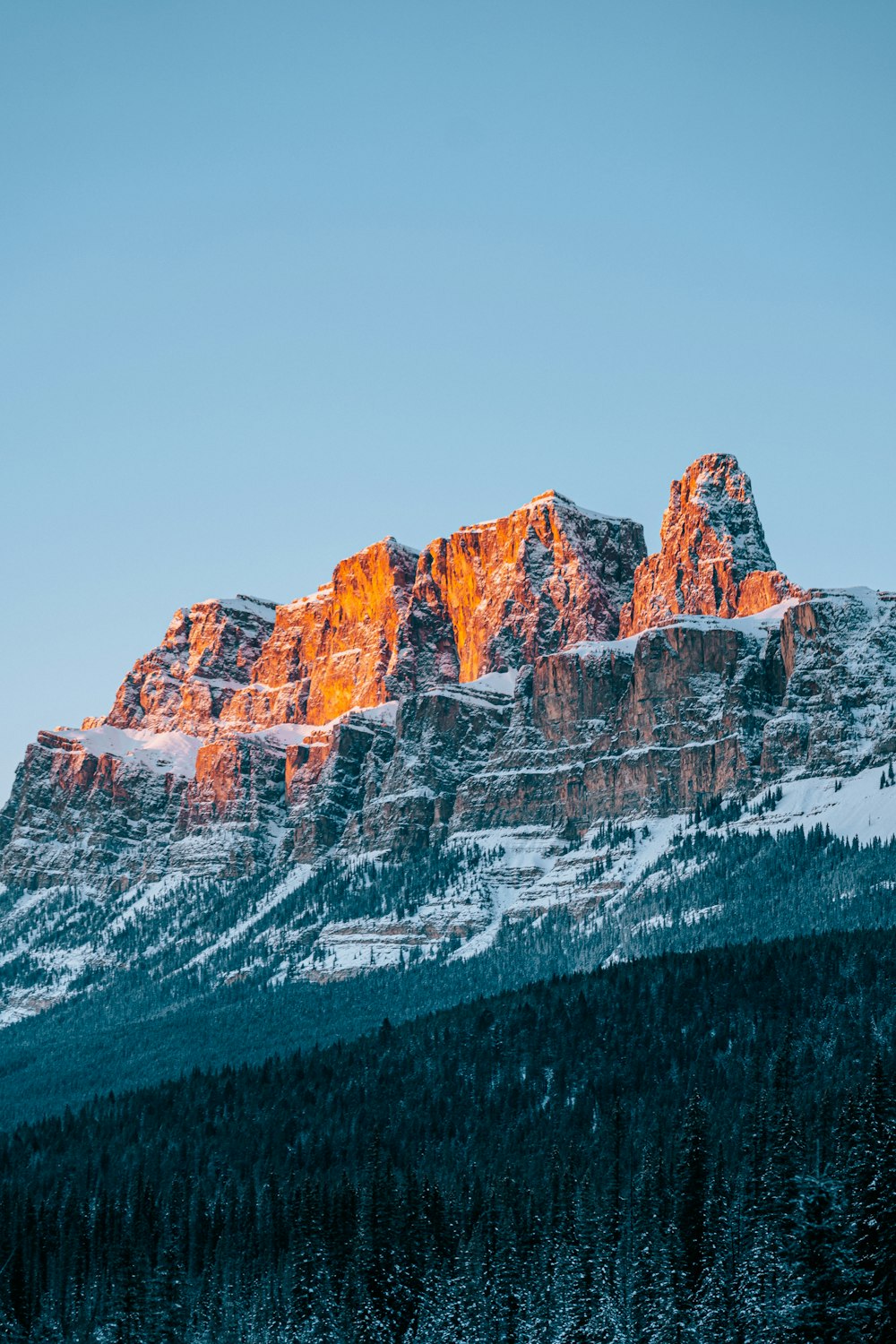 a snow covered mountain with trees in the foreground