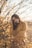 A person with long dark hair is standing amidst autumn foliage, wearing a mustard-colored coat. The branches around are bare, and the leaves are a mix of golden hues, suggesting a late fall setting. The lighting is soft and warm, creating a serene and contemplative atmosphere.