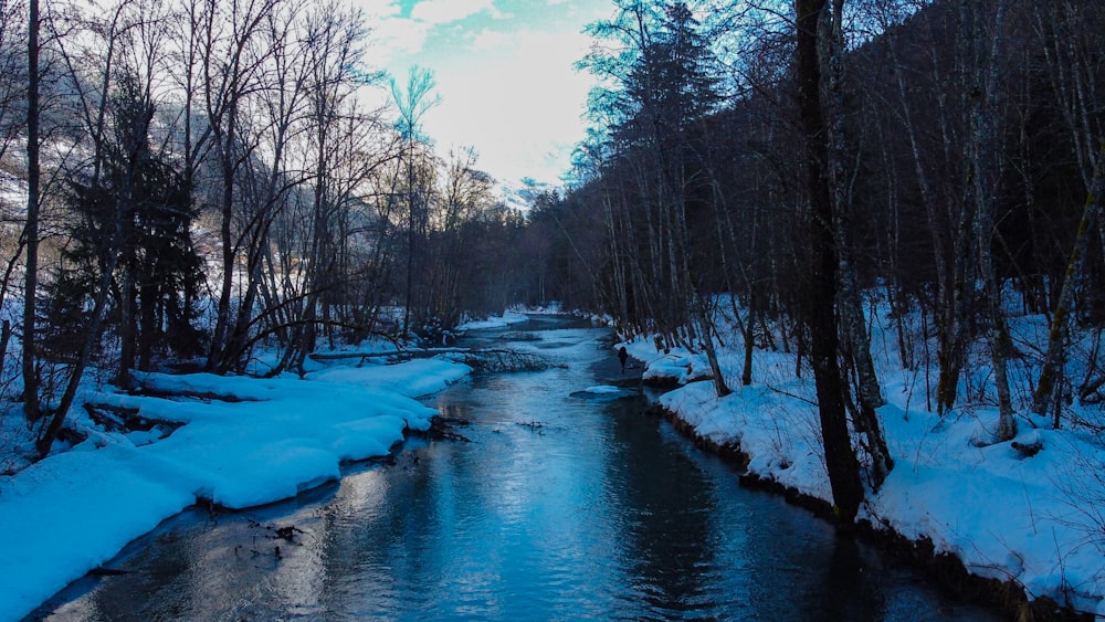 a river running through a snow covered forest