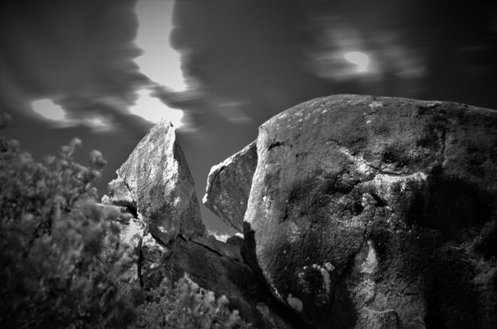 a black and white photo of rocks and trees