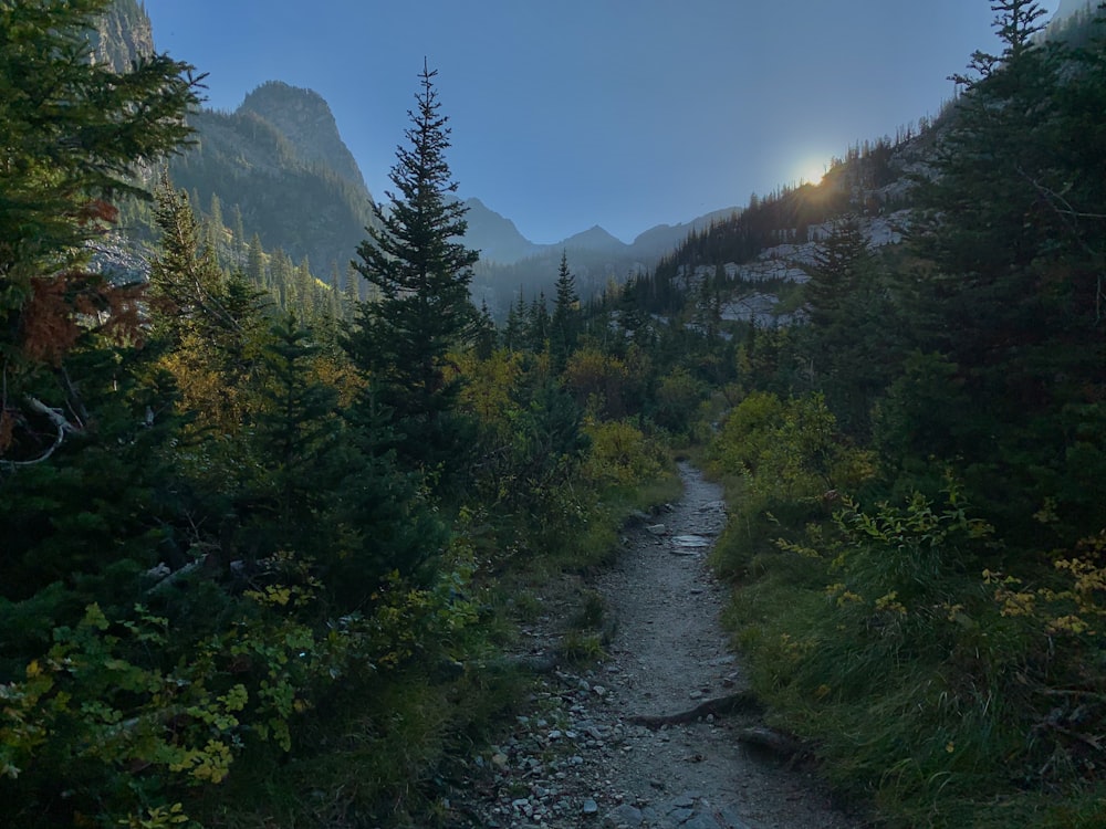 the sun shines brightly on a trail in the mountains