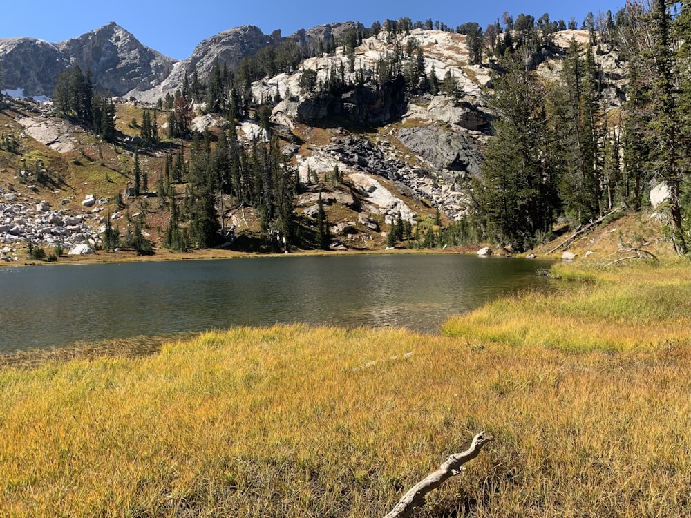 a large body of water surrounded by mountains