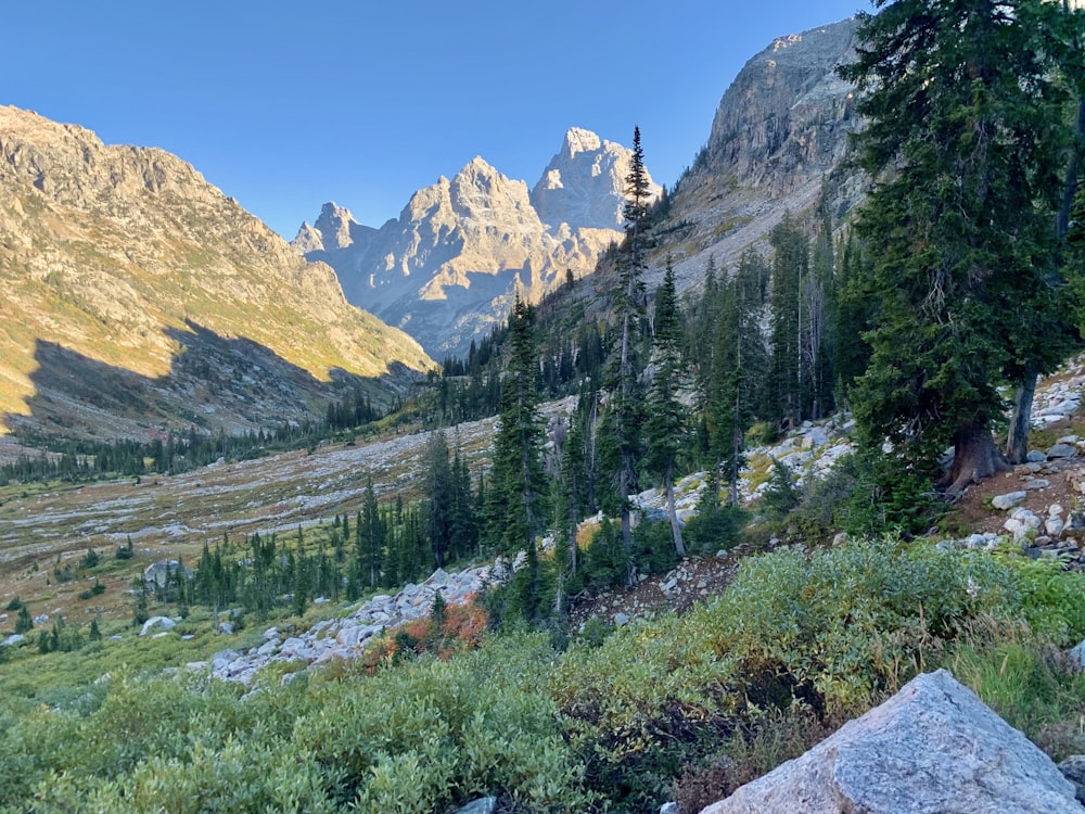 a view of a mountain range with trees and mountains in the background