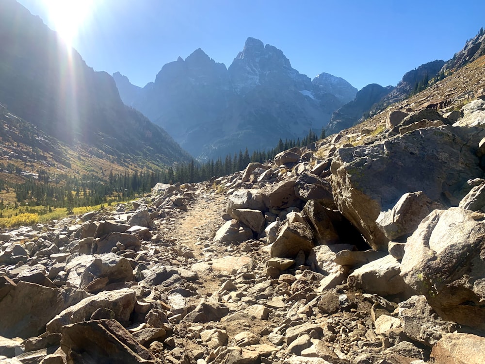 a rocky trail in the mountains with trees and rocks