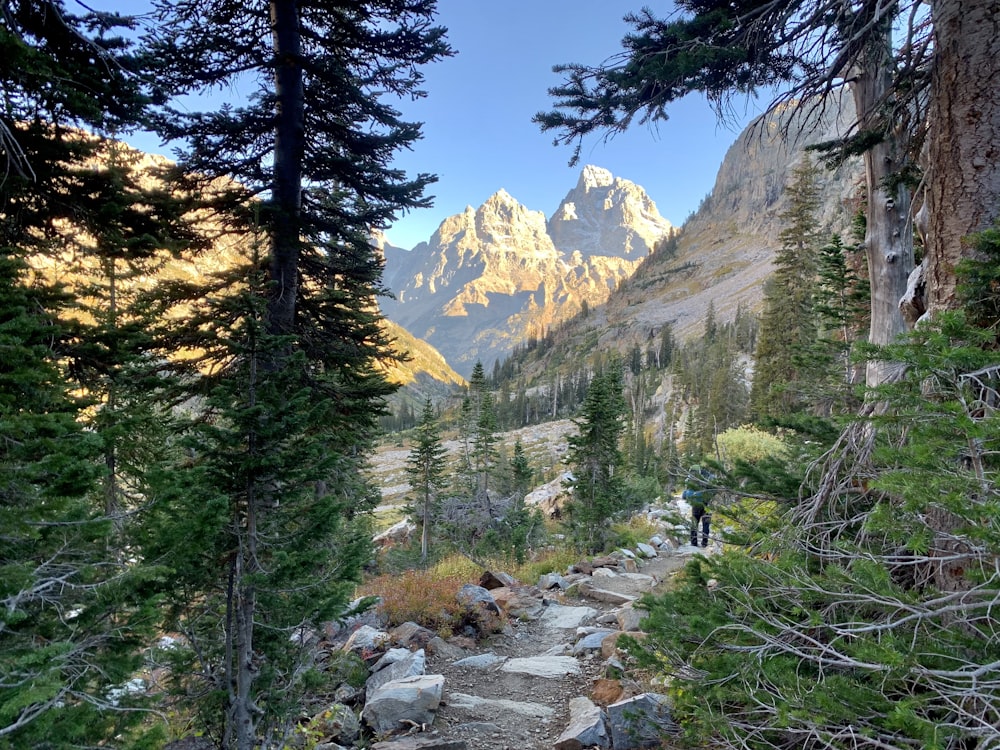 a man hiking up a trail in the mountains