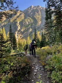 a group of people hiking up a trail in the mountains