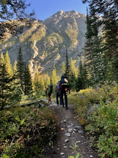 a group of people hiking up a trail in the mountains