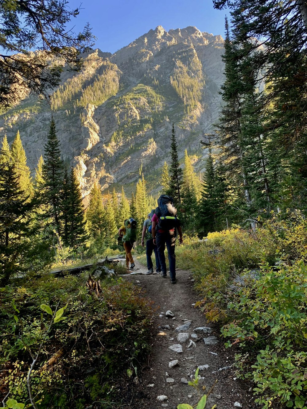 a group of people hiking up a trail in the mountains