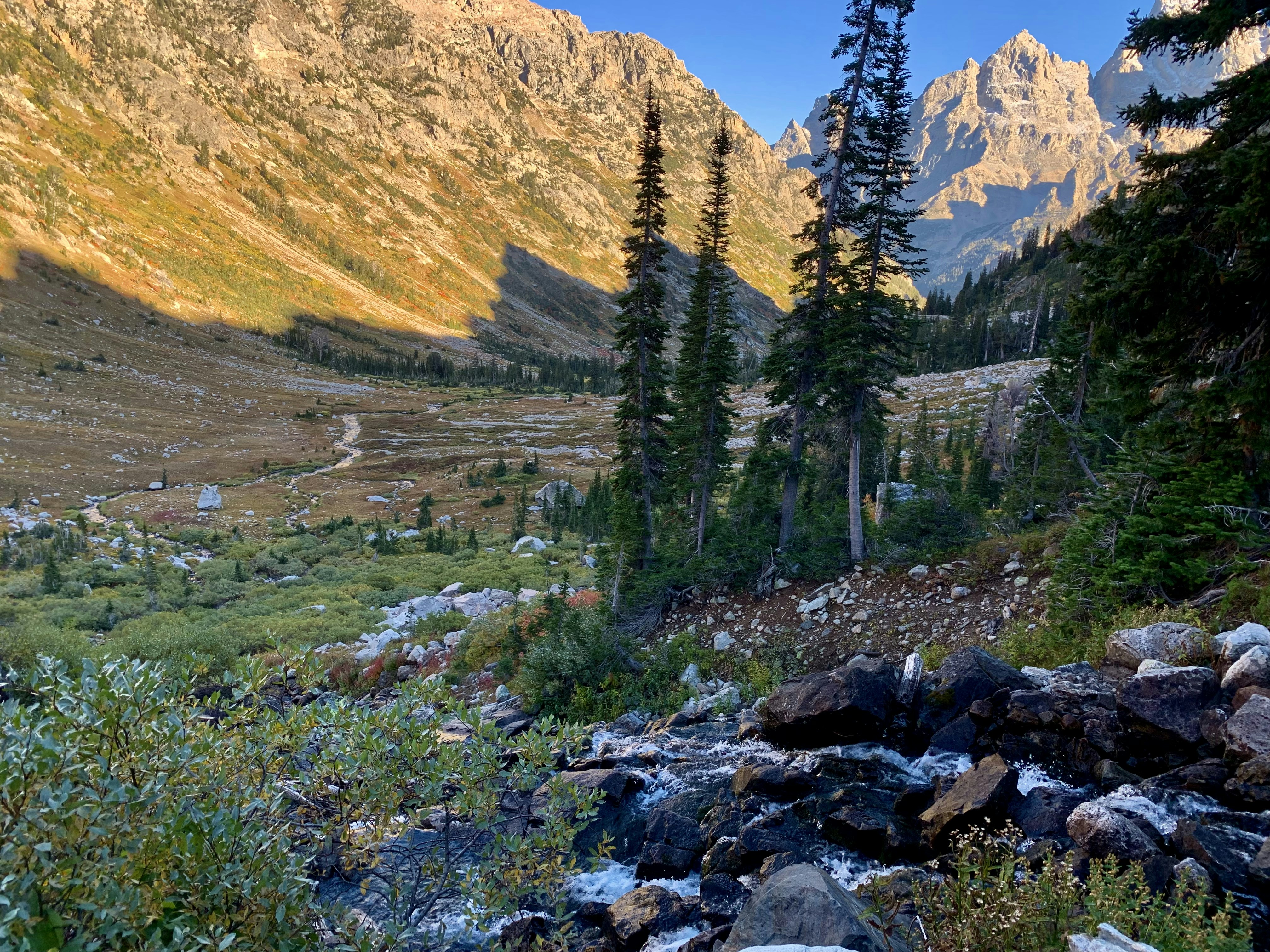 a view of a mountain valley with rocks and trees