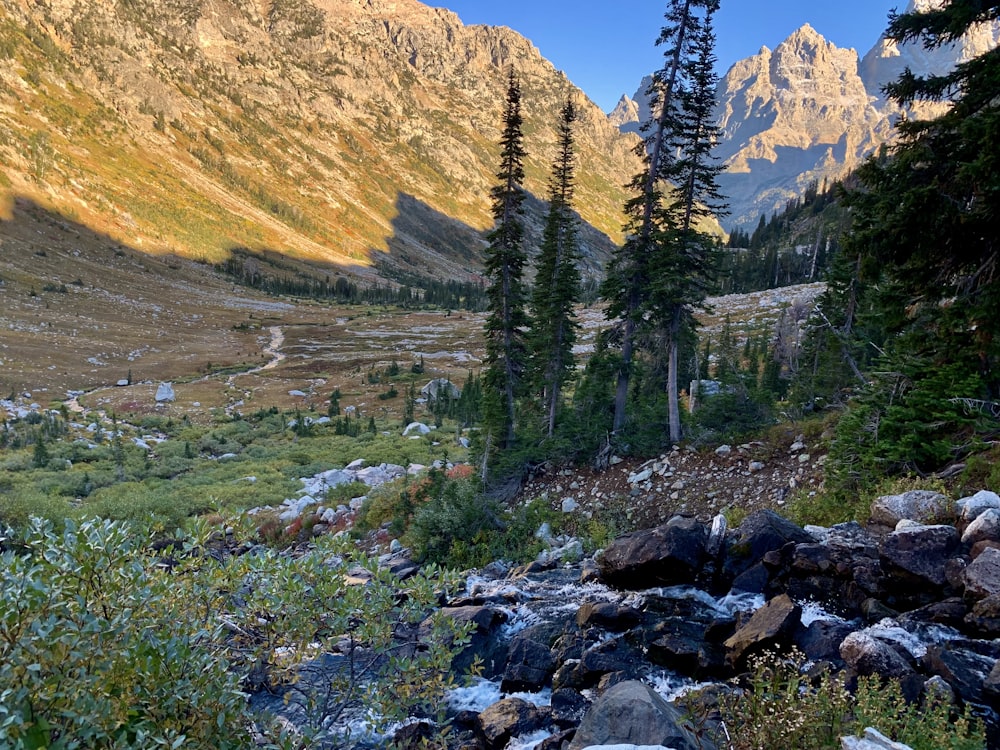 a view of a mountain valley with rocks and trees