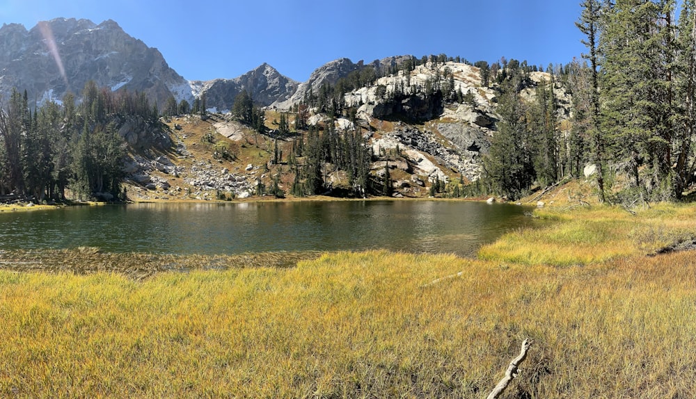 a mountain lake surrounded by tall grass and trees