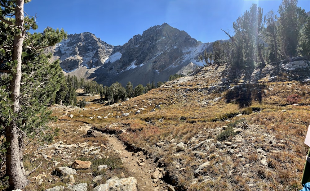 a person standing on a trail in the mountains