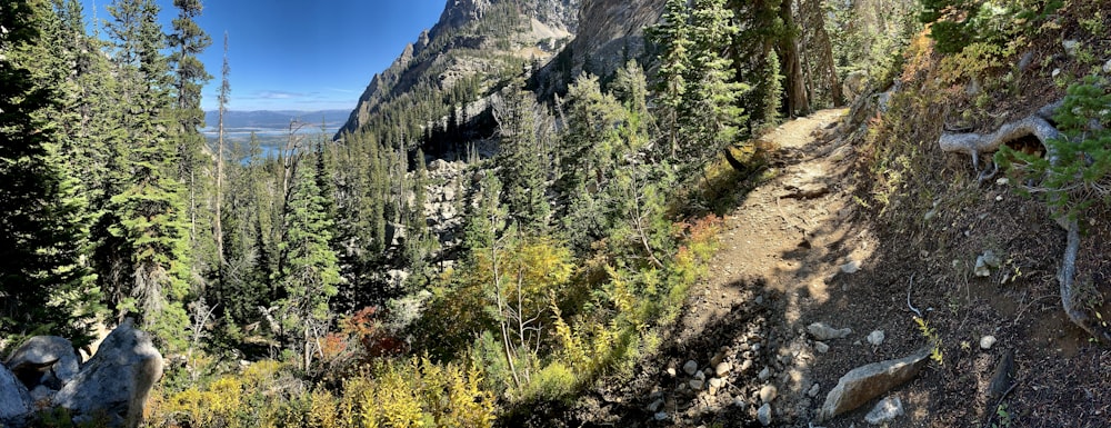 a view of a mountain with trees and rocks