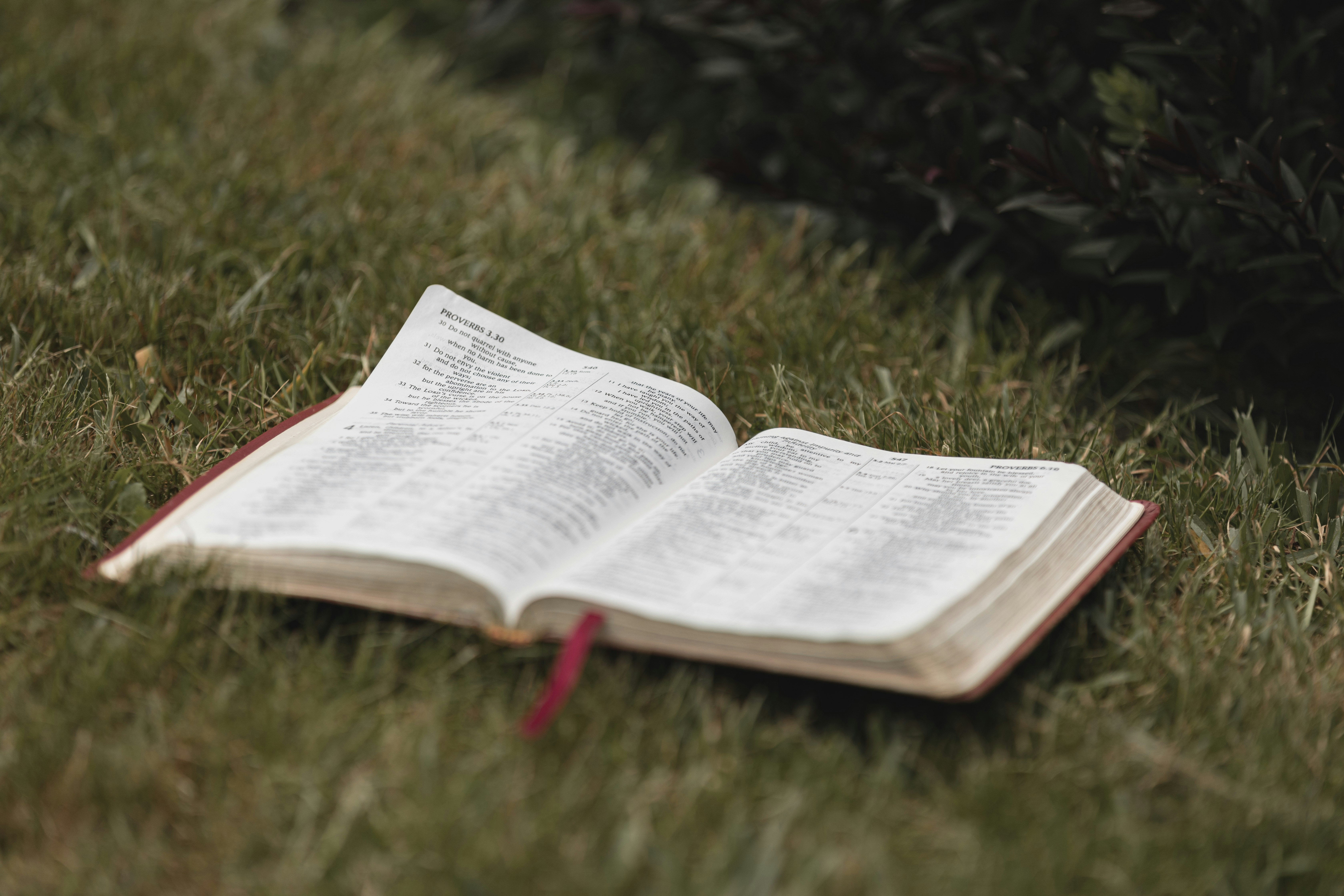 Photo by createinme_nz