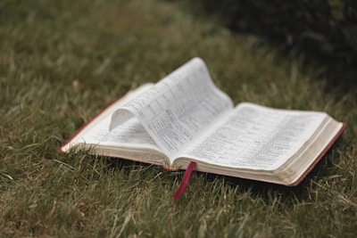 An open book with pages fluttering in a gentle breeze.