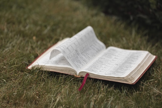 An open book with pages turning in a gentle breeze.