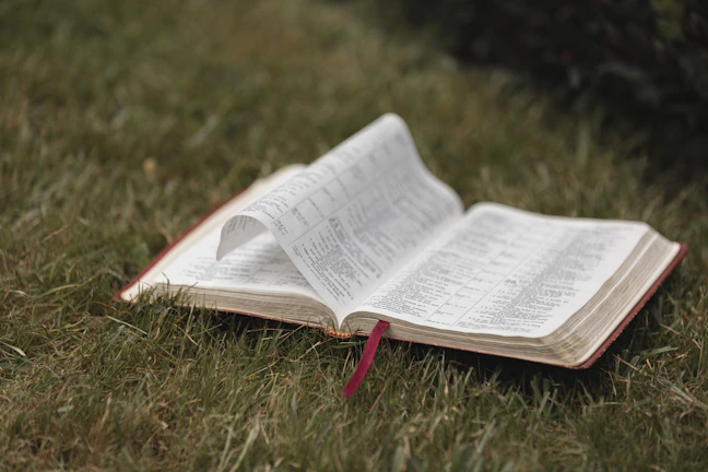 A peaceful outdoor scene with an open book resting on a picnic blanket.