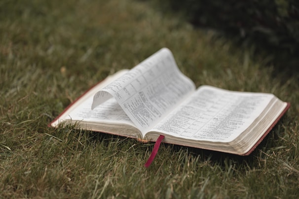 An open book with pages turning in a gentle breeze.