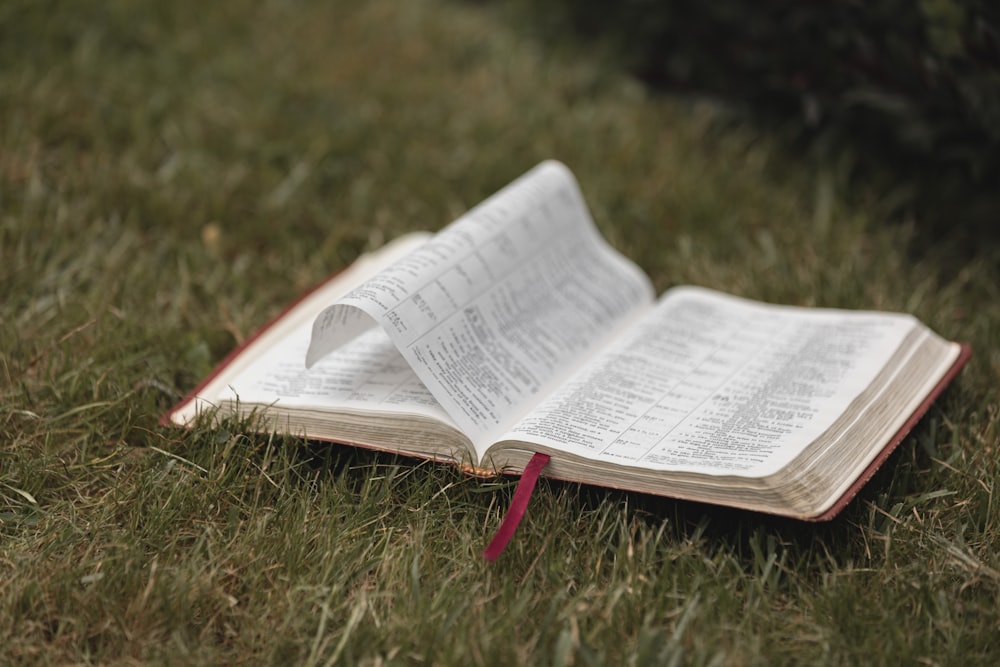 an open book sitting on top of a lush green field