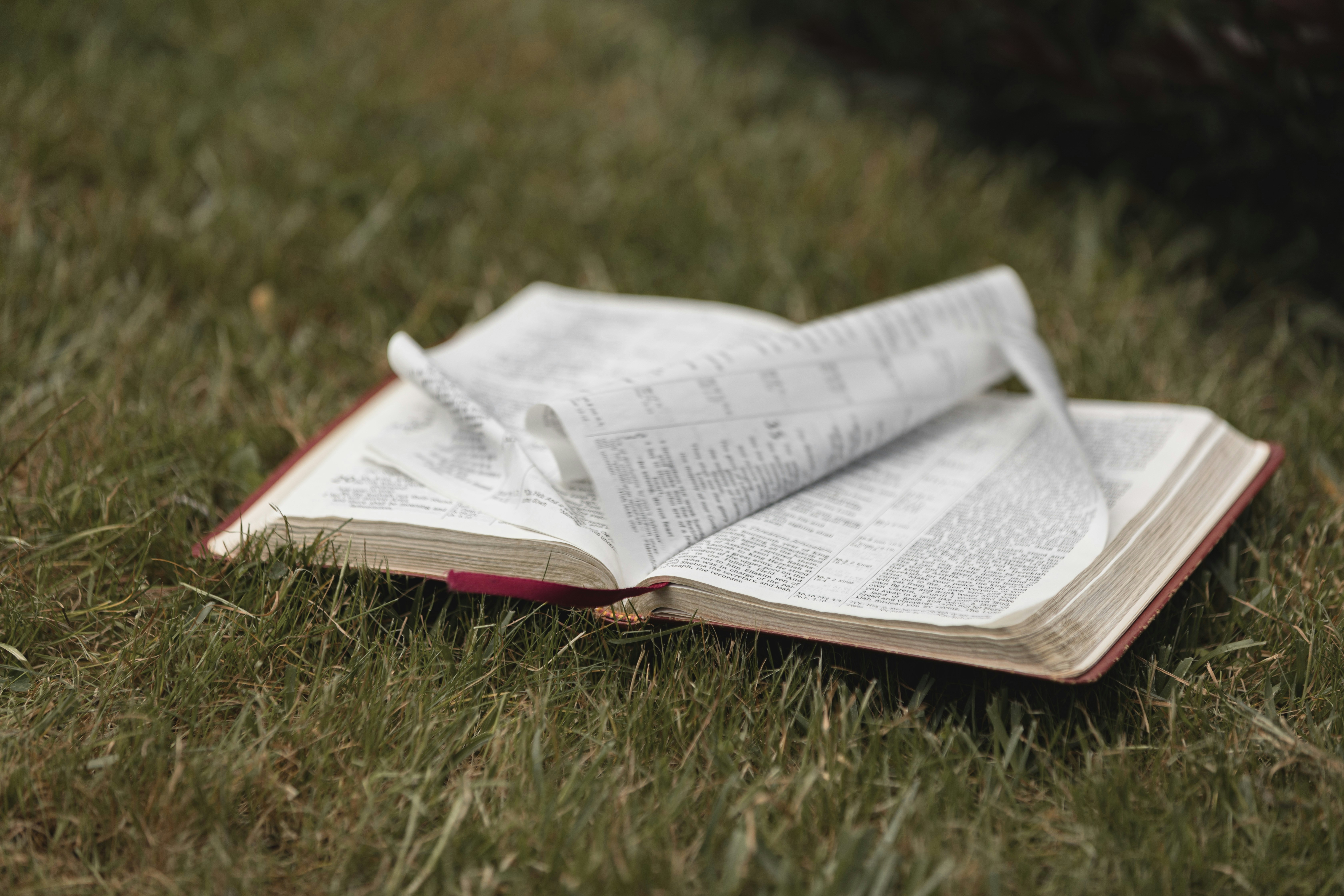 Photo by createinme_nz