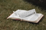 An open book with pages turning in a natural setting.