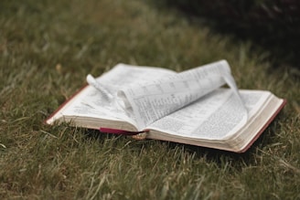 An open book with pages turning in the wind.