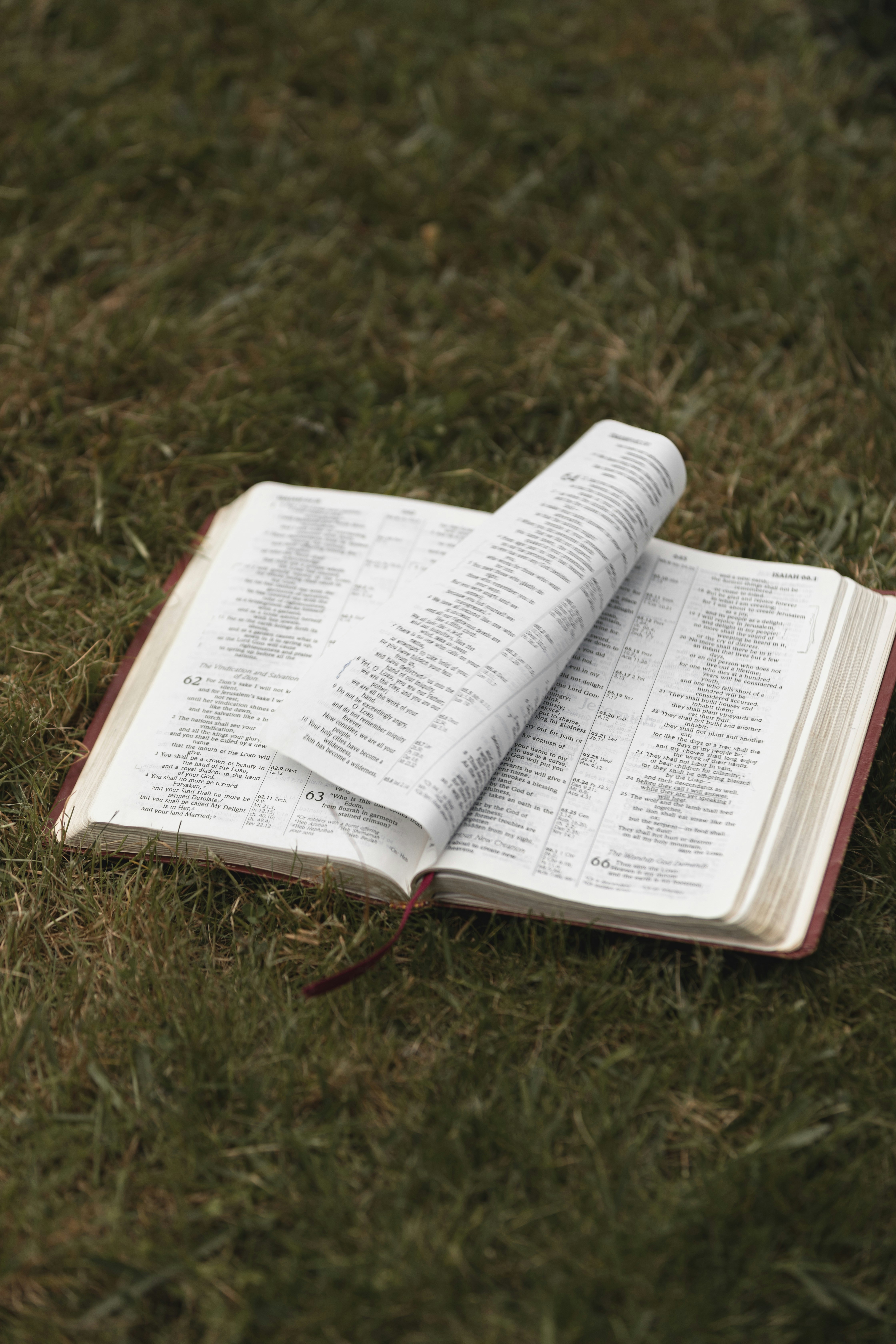 Photo by createinme_nz