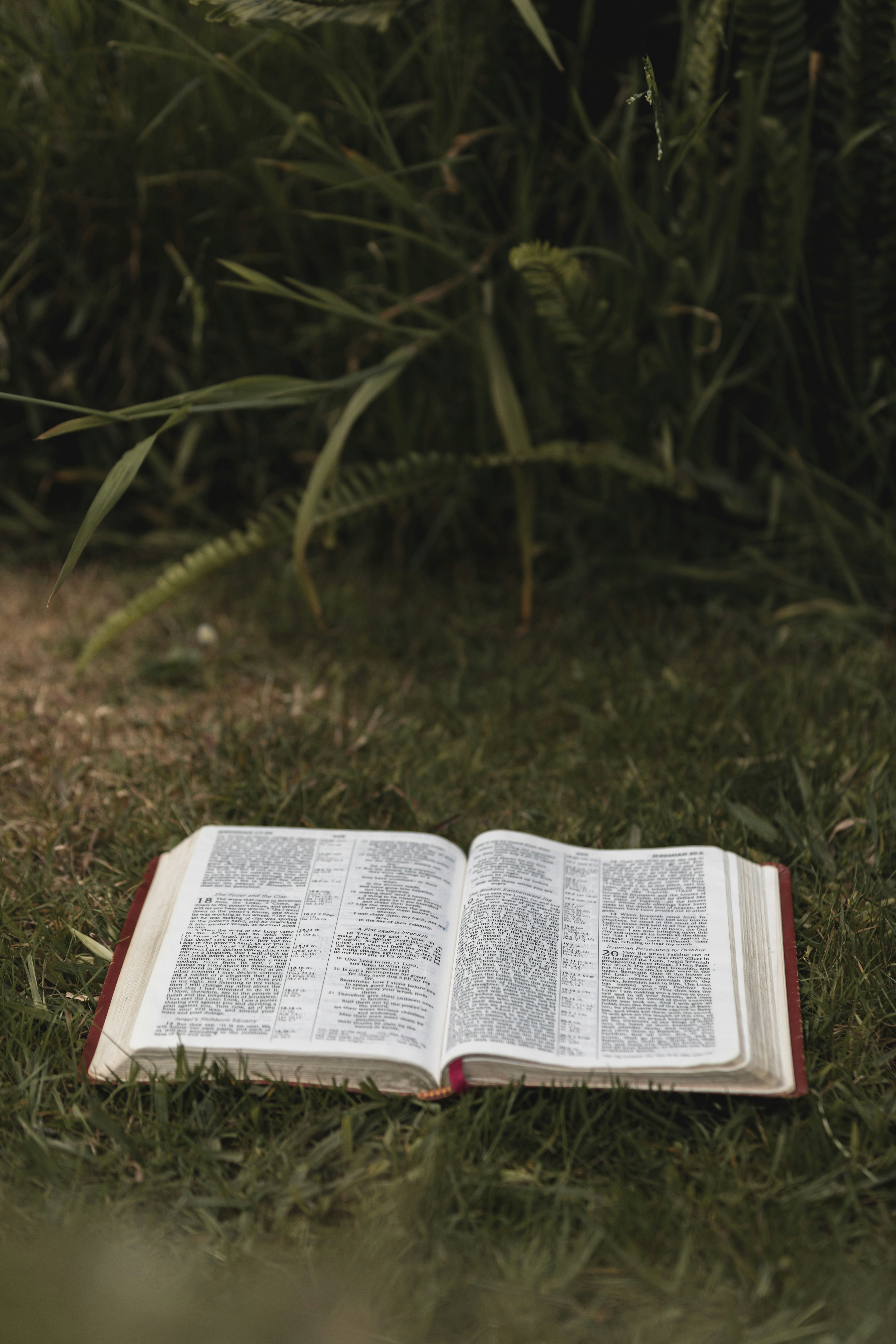 Photo by createinme_nz