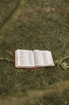 A serene image of a book surrounded by nature.