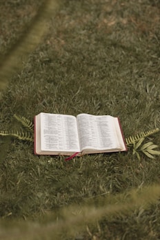 an open book laying on the ground