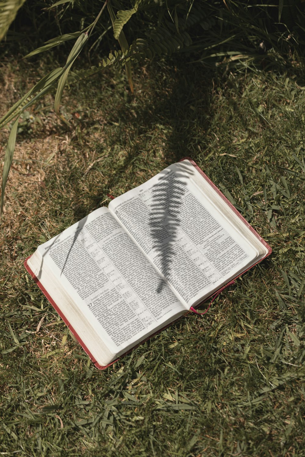 an open book with a feather on top of it