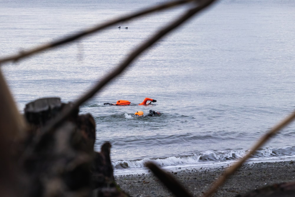 a couple of people swimming in the ocean