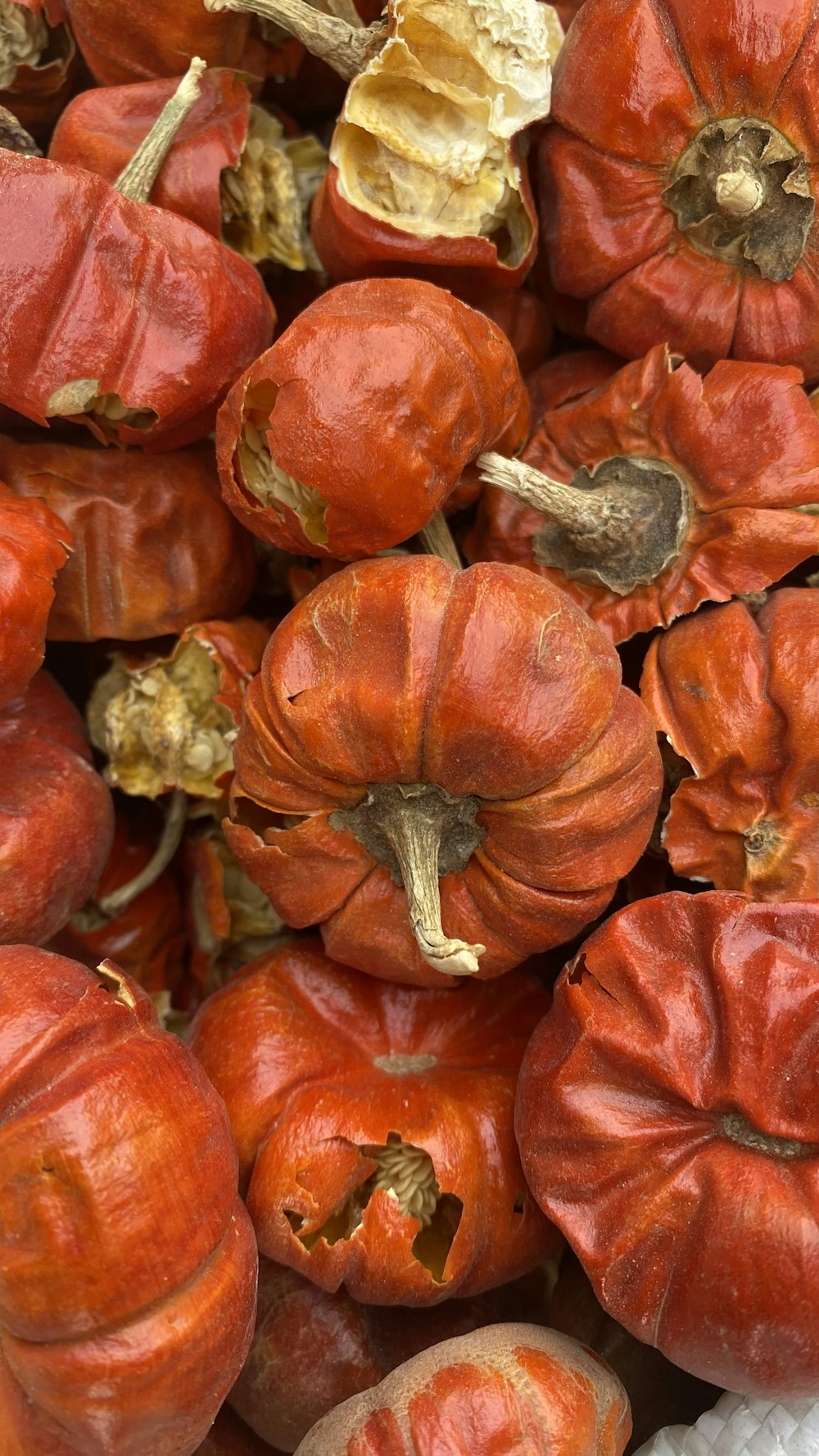 a pile of red pumpkins sitting next to each other