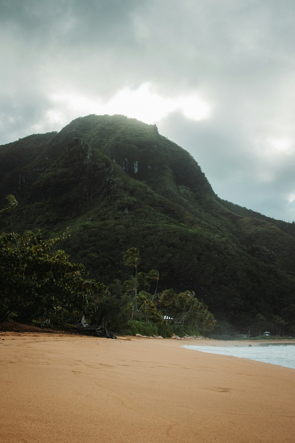 a sandy beach with a mountain in the background