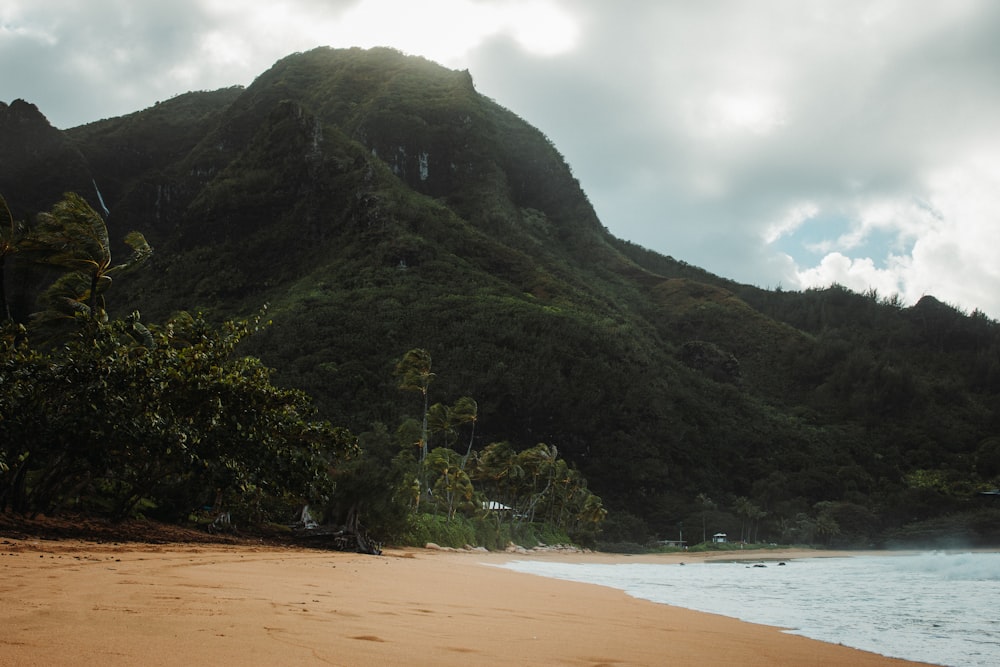 a sandy beach with a mountain in the background